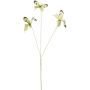 Aiakaunistus liblikas 75 cm, heleroheline