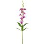 Kunstlill sõrmkübar 76 cm, fuksia