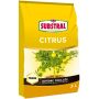Tsitruseliste muld Substral 3 l