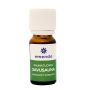 Saunaaroom Emendo suitsusaun 10 ml
