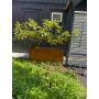 Lillepott Recal Corten120 x 40 x 50 cm, teras
