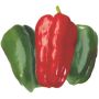 Paprika Lamuyo Ø 9 cm