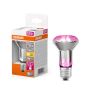 LED-taimelamp Osram Star Filament 100° 7.5W E27