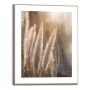 Sisustuspilt Reinders Sunset Grasses 40 x 50 cm
