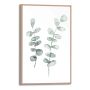 Sisustuspilt Reinders Eucalyptus 20 x 30 cm
