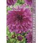 Daalia Decorative Purple 1 tk