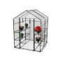 Kasvuhoone Hortus XL 195 x 143 x 143 cm