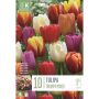 Tulp Triumph Mix 10 tk