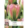 Tulp Greoland 8 tk