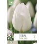 Tulp Royal Virgin 10 tk