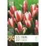 Tulp Floresta 10 tk