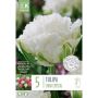 Tulp  Snow Crystal 8 tk
