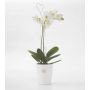 Orhideepott MerinaPretty White Ø 14 cm