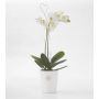 Orhideepott Ø 14 cm, valge