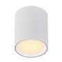 LED-kohtvalgusti Nordlux Fallon 12 cm valge