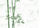 Liimpuitplaat Bambus 18 mm 2200 mm 600 mm