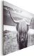Sisustuspilt 85257 Highland Cow 100 x 140 x 2 cm