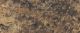 Dekoratiivne taustaplaat Plaat Detail Butterum Granite/Travertine 4,5 x 600 x 3050 mm