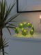 Akrüül dekoratsioon Konstsmide Kaktus 10-osaline LED IP20