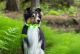 LED-valgustusega kaelarihm koerale Airam Roosa Nauha roheline