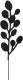 Aiakaunistus Eukalüpti oksa valik 40 cm, must