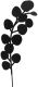 Aiakaunistus Eukalüpti oksa valik 50 cm, must