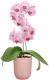 Orhidee ümbrispott Elho Vibes Fold  Ø 12,5 cm, roosa