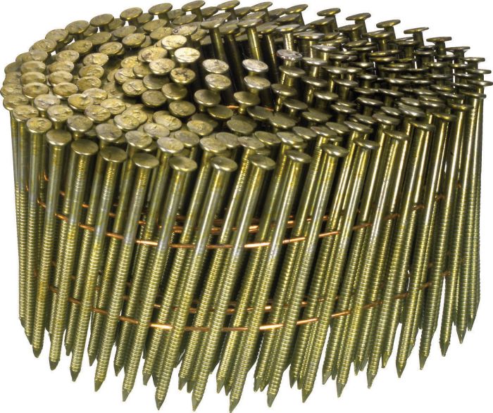 Rullnael Senco 34° 65 x 2,3 mm