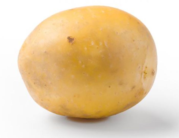Seemnekartul Gala B 2,5kg