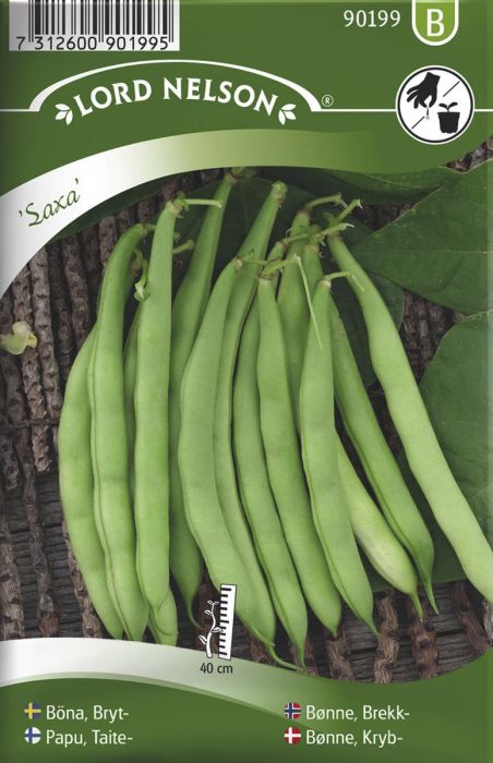 Aeduba Saxa