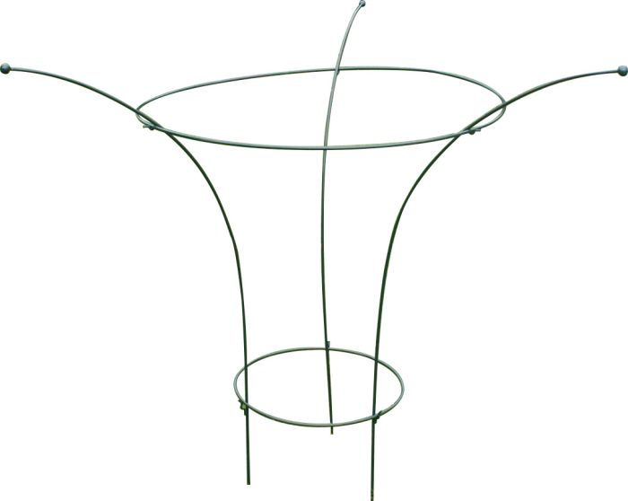 Taimetugi pojengile 90 cm