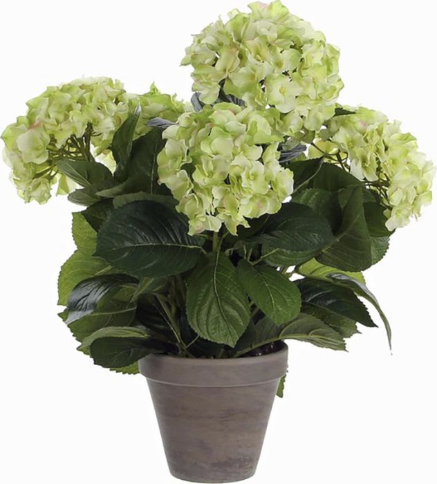 Kunstlill hortensia beež