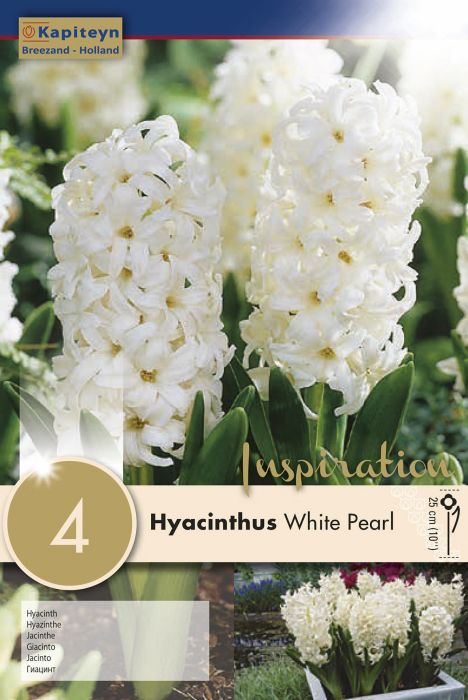 Hüatsint White Pearl 4 tk