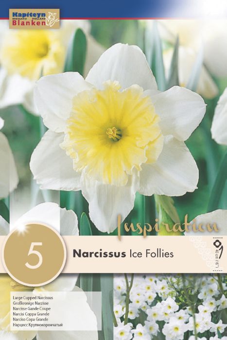 Nartsiss Ice Follies 5 tk