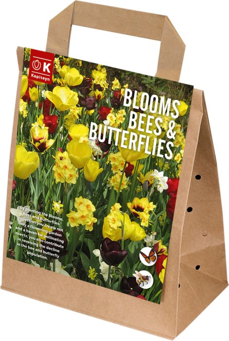 Sibullilled 25 tk Blooms, Bees & Butterflies kollane
