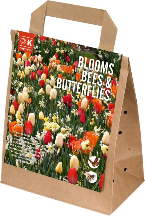 Sibullilled 25 tk Blooms, Bees & Butterflies Sunshine