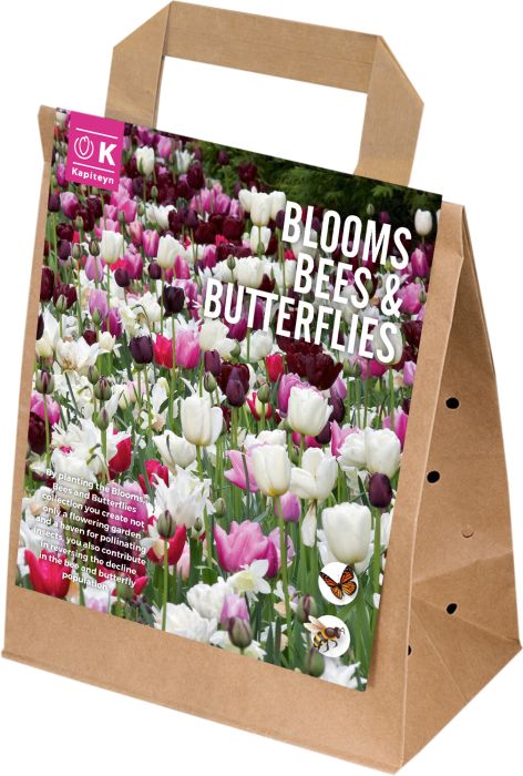 Sibullilled 25 tk Blooms, Bees & Butterflies roosa