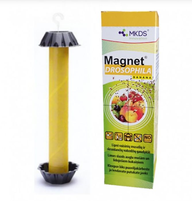 Liimpüünis äädikakärbestele Magnet Drosophila Banana