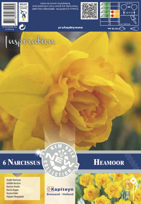 Nartsiss Heamoor 6 tk