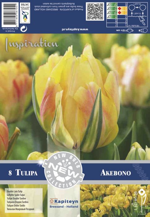 Tulp Akebono 8 tk