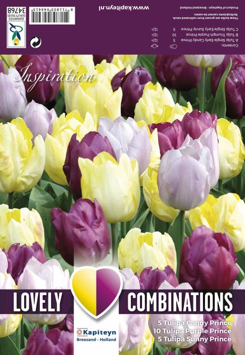 Tulpide segu Yellow, Purple and Lilac 20 tk
