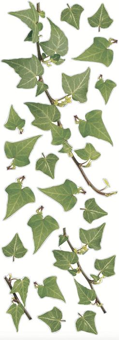 Posterkleebis Plage Ivy 24 x 68 cm