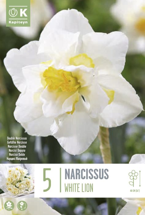 Nartsiss White Lion 5 tk