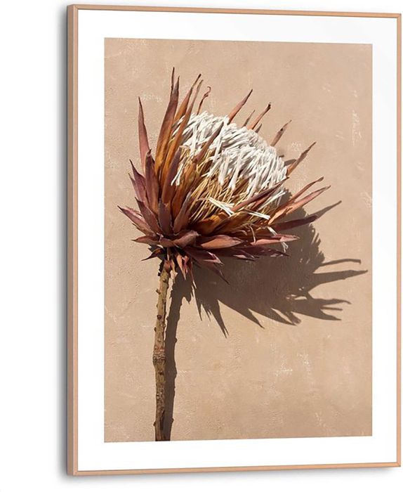 Sisustuspilt Reinders Shadow Still 30 x 40 cm