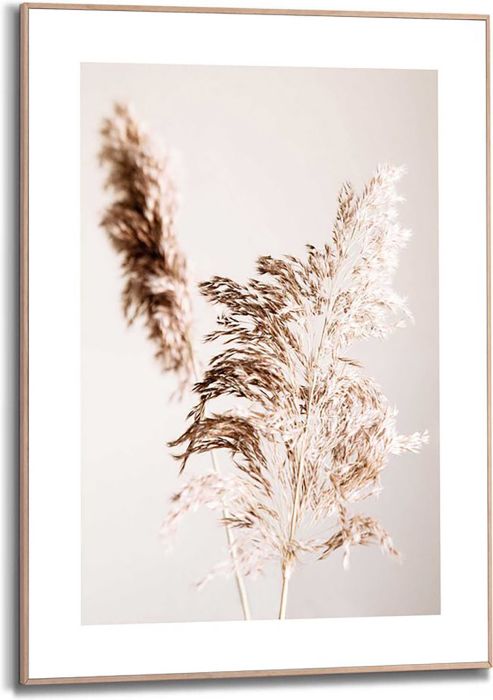 Sisustuspilt Reinders Shadow Grass 50 x 70 cm