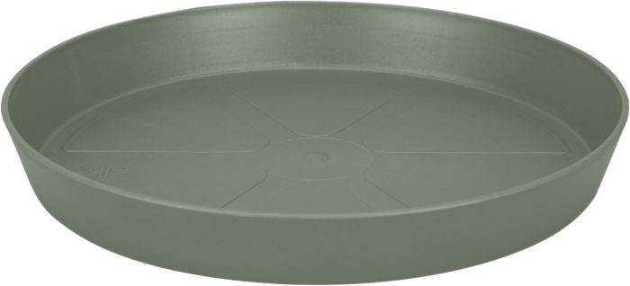 Alustaldrik Elho Loft Urban 21 cm, tüümiani roheline