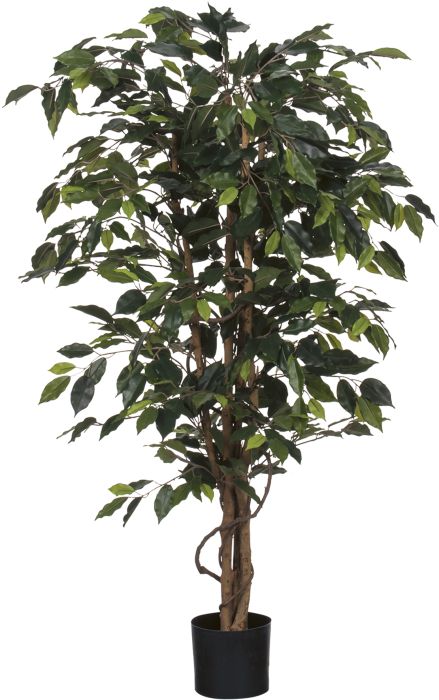 Kunstlill bensoe viigipuu 150 cm