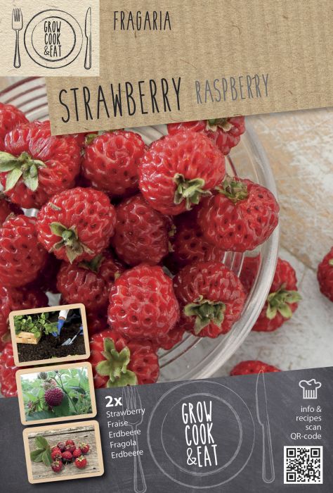 Maasikas Kapiteyn Raspberry 2 tk