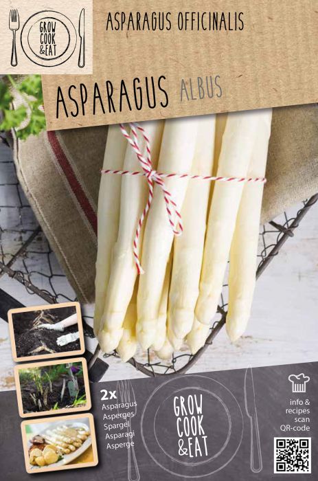 Harilik aspar Kapiteyn Albus 2 tk