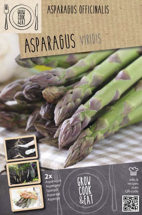 Harilik aspar Kapiteyn Viridis 2 tk